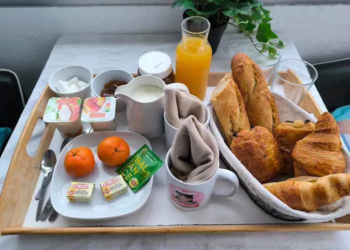 Konukevi Les Residences Du Mourillon 3*