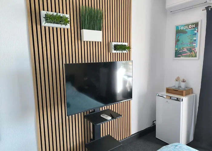 Konukevi Les Residences Du Mourillon 3*